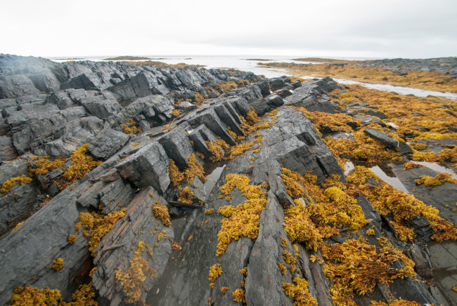 Обои картинки фото полуостров рыбачий, природа, побережье, полуостров, рыбачий, россия, скалы