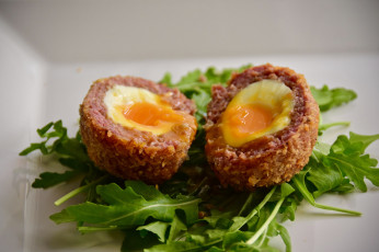 Картинка еда Яичные+блюда снедь