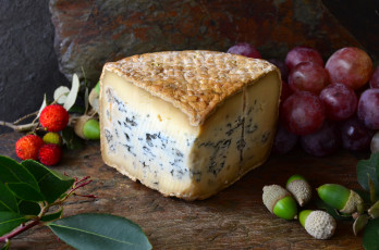 Картинка еда сырные+изделия снедь