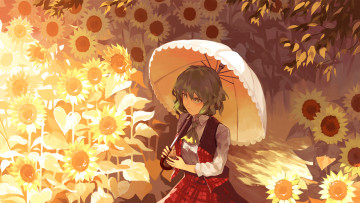 Картинка аниме touhou девушка