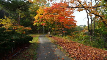 Картинка природа дороги простор