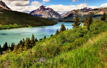 Картинка природа реки озера простор