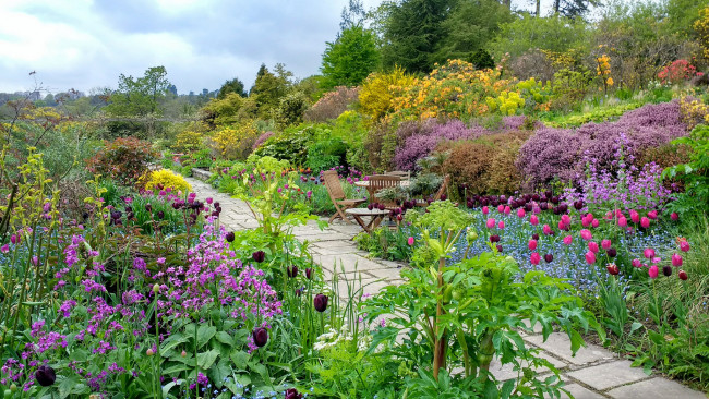 Обои картинки фото природа, парк, простор