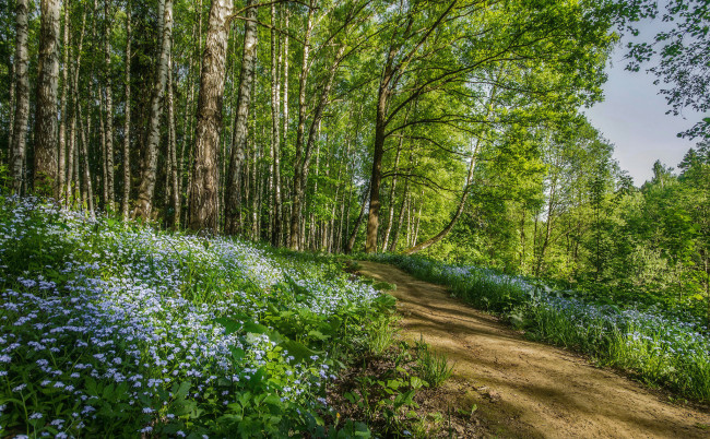 Обои картинки фото природа, дороги, простор