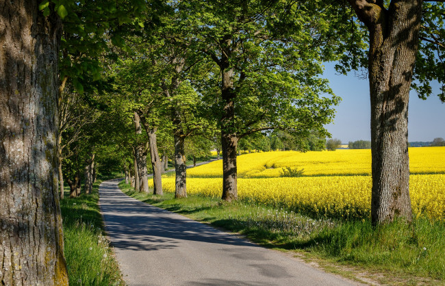 Обои картинки фото природа, дороги, простор