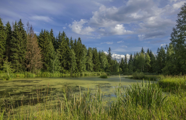 Обои картинки фото природа, реки, озера, простор