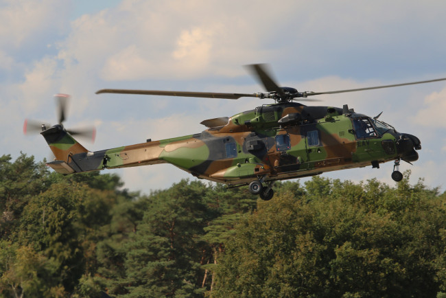 Обои картинки фото nh-90 ca&, 239, man, авиация, вертолёты, вертушка