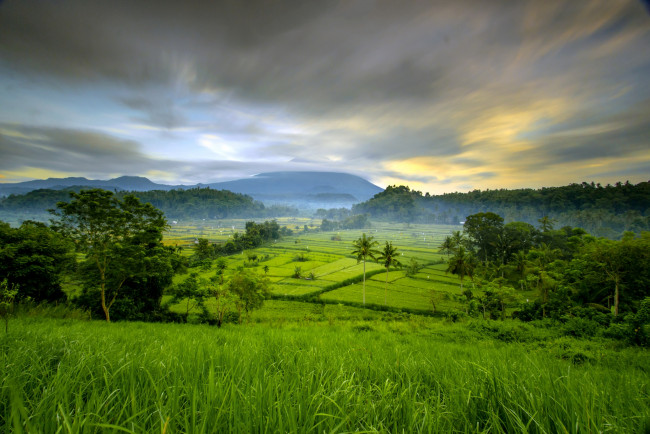 Обои картинки фото природа, пейзажи, простор