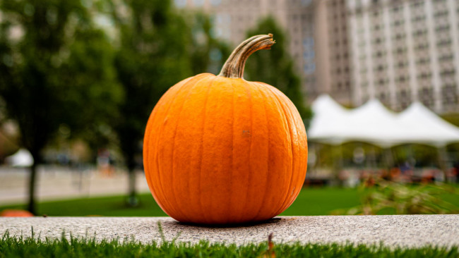 Обои картинки фото тыква, еда, овощ, фон