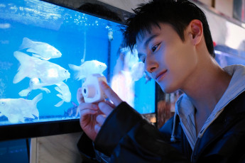Картинка мужчины wang+zhuocheng актер лицо фотоаппарат рыбы аквариум
