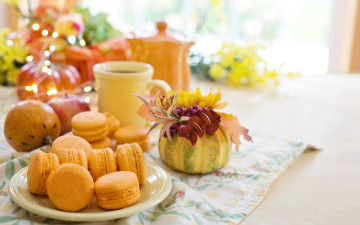 обоя еда, макаруны, лакомство, апельсиновые