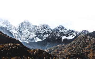 обоя природа, горы, снег, лес, осень