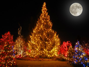 Картинка праздничные