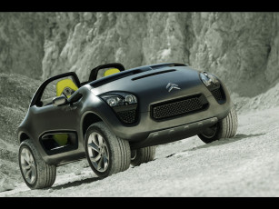 Картинка автомобили citroen