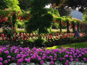 Картинка природа