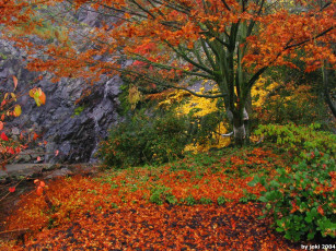 Картинка природа