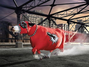 Картинка тайная жизнь коров 03 разное