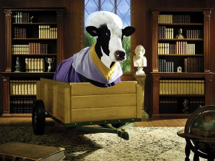 Картинка тайная жизнь коров 04 разное