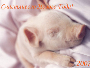 Картинка животные свиньи кабаны