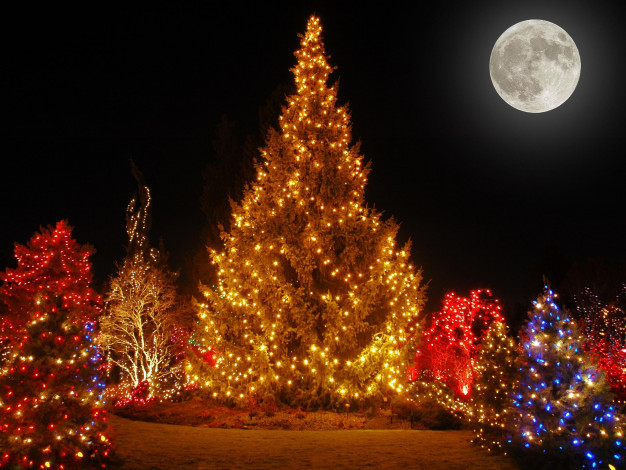 Обои картинки фото праздничные