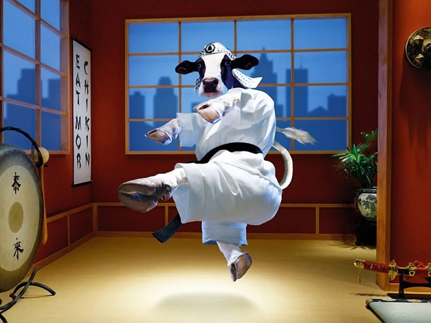 Обои картинки фото тайная, жизнь, коров, 01, разное