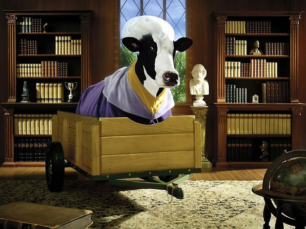 Обои картинки фото тайная, жизнь, коров, 04, разное