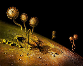 Картинка фэнтези иные миры времена