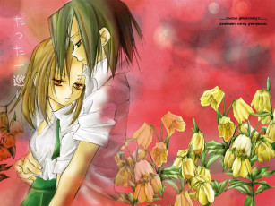 Картинка аниме shaman king
