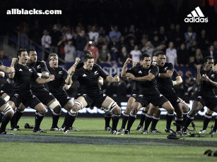 Картинка all blacks спорт регби