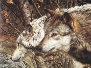 Картинка рисованные животные