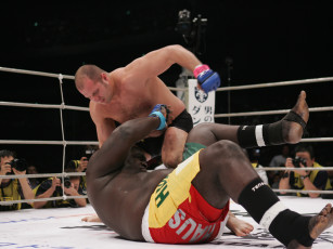 Картинка спорт mix fight