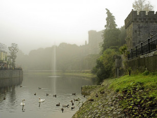 Картинка животные разные вместе