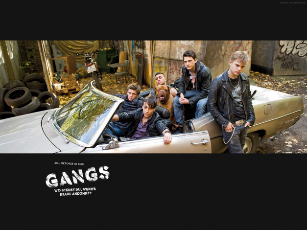 Обои картинки фото gangs, кино, фильмы