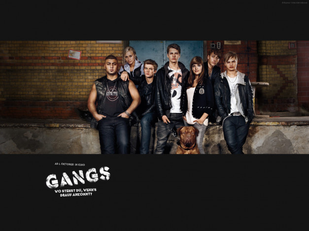 Обои картинки фото gangs, кино, фильмы