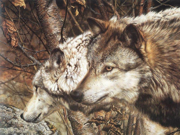 Обои картинки фото рисованные, животные