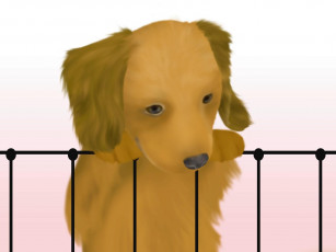 Картинка рисованные животные