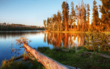 Картинка природа реки озера