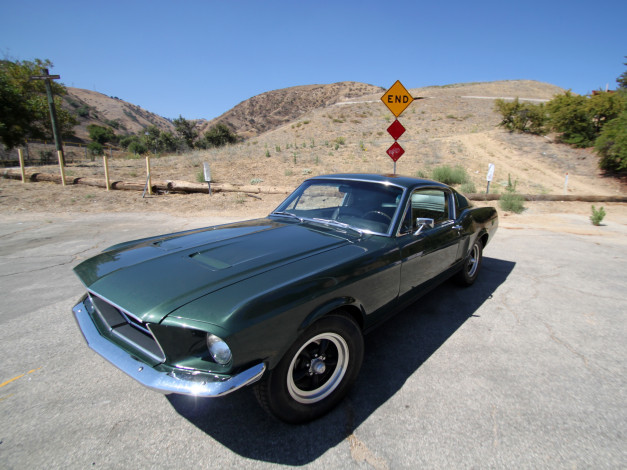Обои картинки фото автомобили, mustang