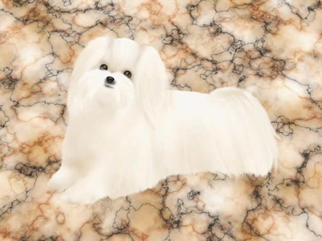 Обои картинки фото рисованные, животные