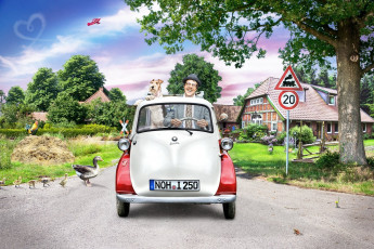 Картинка юмор приколы гуси дорога машина собака