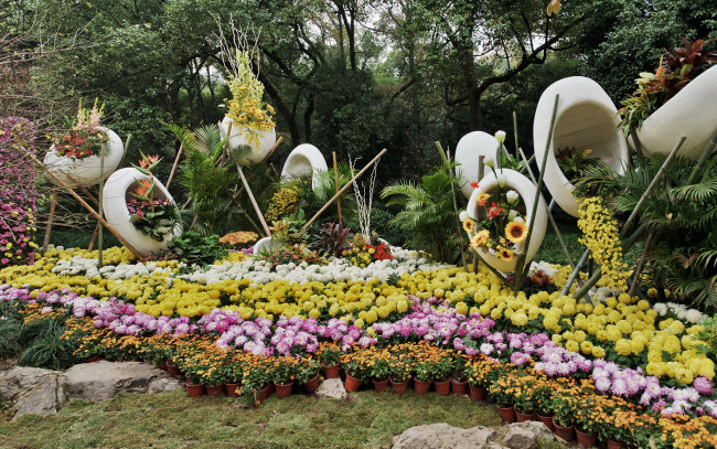 Обои картинки фото цветы, разные, вместе, деревья, вазоны, оригинальные, вазы