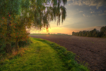 Картинка природа поля пашня поле дорога лес