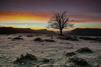 Картинка природа деревья вечер дерево igor galarza закат небо