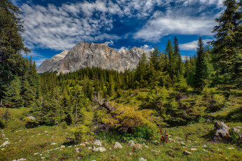 Картинка природа горы лес облака