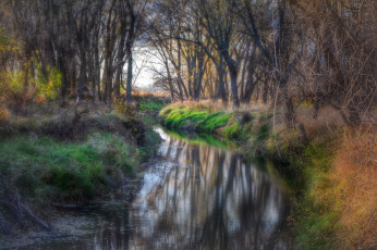 Картинка природа реки озера речка лес