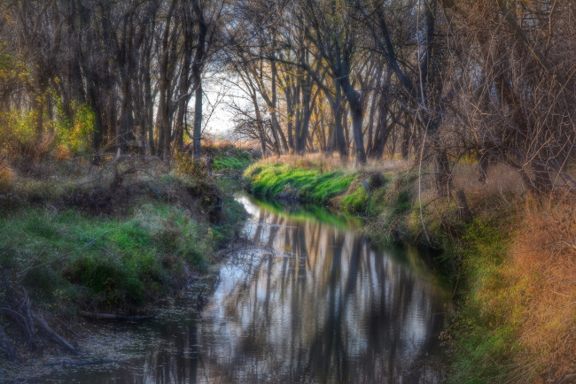 Обои картинки фото природа, реки, озера, речка, лес