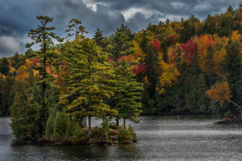 Картинка природа реки озера лес река