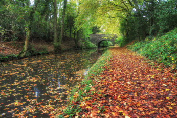 Картинка природа реки озера осень канал лес