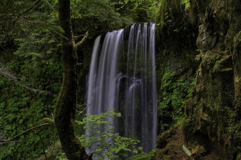 Картинка природа водопады лес водопад река