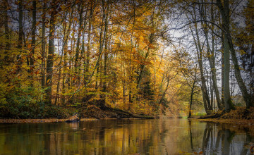 Картинка природа реки озера река лес